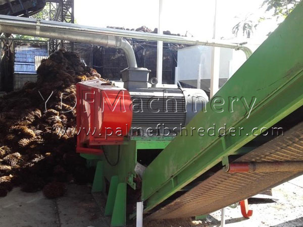 Oil Palm EFB to Compost or Fertilizer in Peru